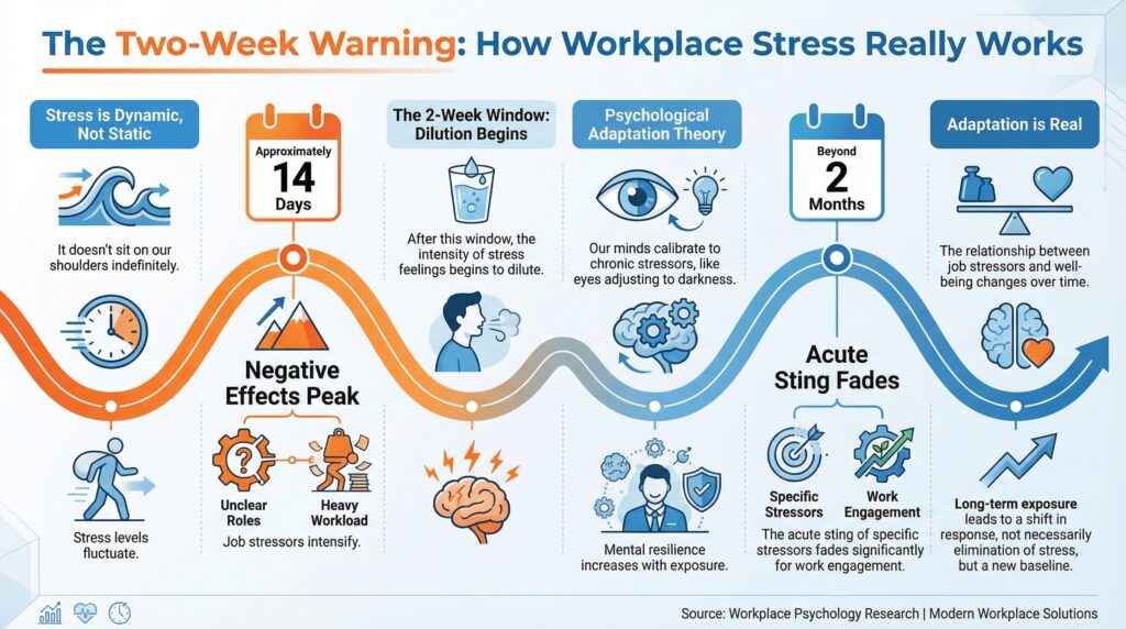 Workplace Stress: The Science Behind Prevention and Early Intervention two week stress timeline